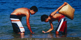 Boys looking for shellfish at the beach